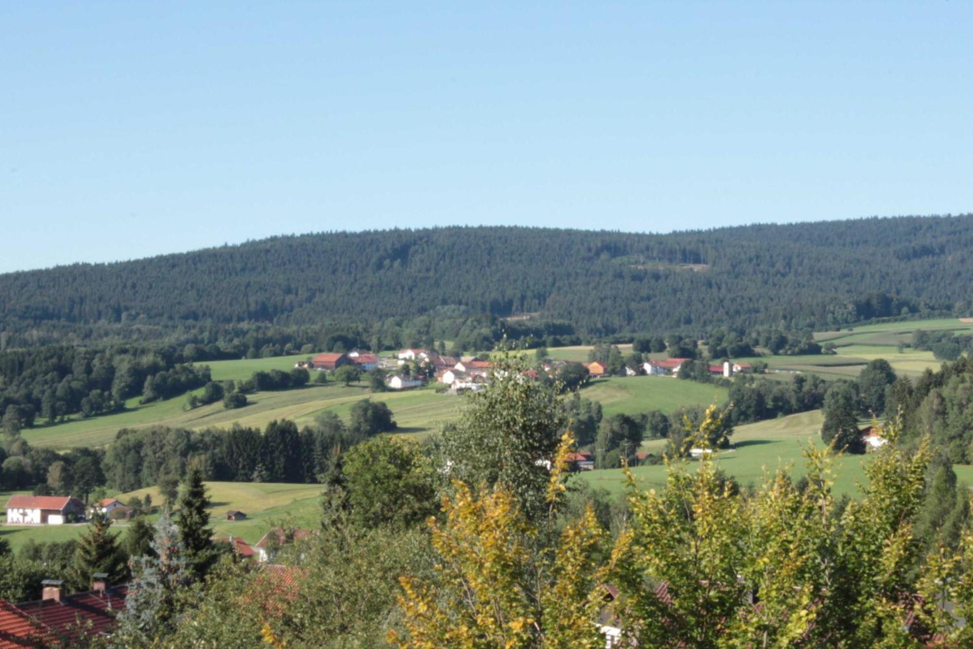 Fewo Mit Malerischem Bergblick Im Bischofsmais Eksteriør bilde