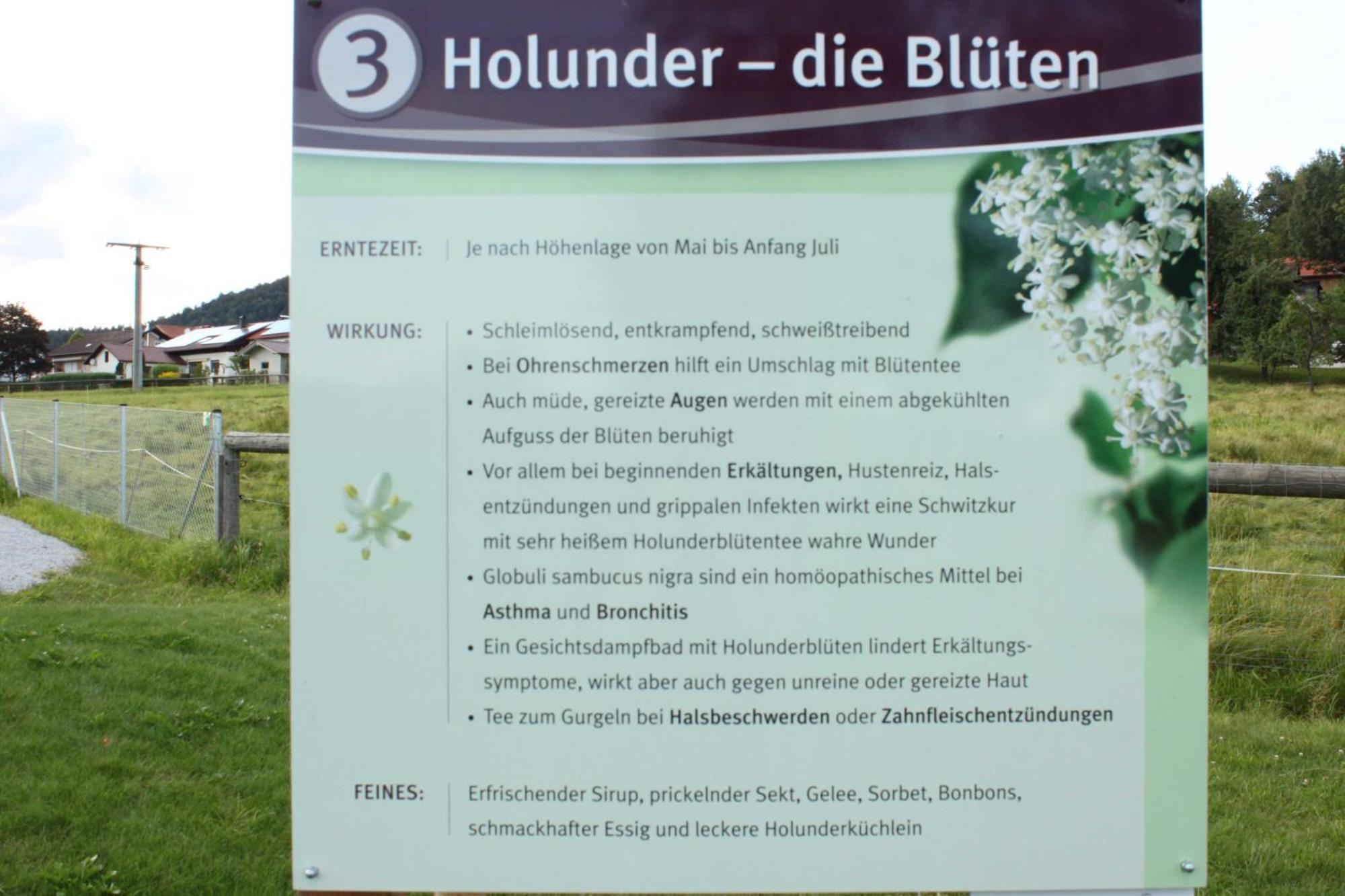 Fewo Mit Malerischem Bergblick Im Bischofsmais Eksteriør bilde